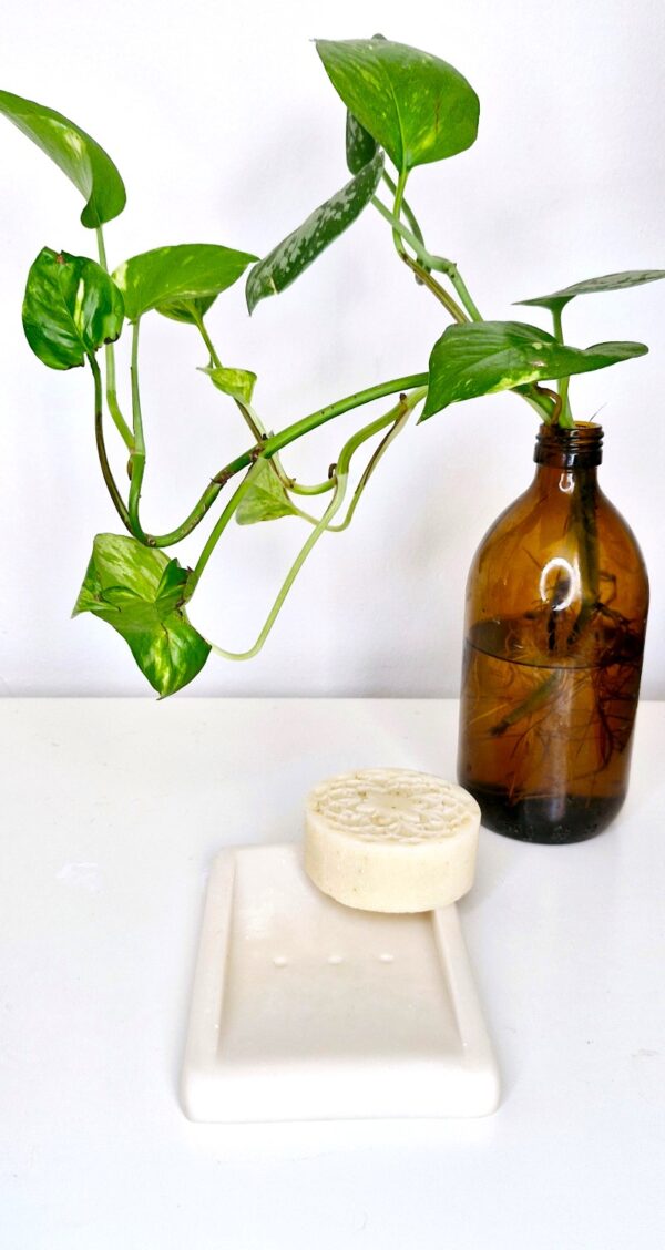 ⁦White soap holder⁩ – תמונה ⁦3⁩